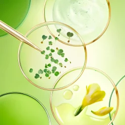 Cheap NUXE La Crema notte anti-età globale