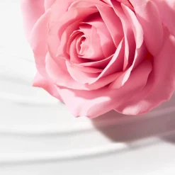 Shop NUXE Latte struccante vellutato - vecchia formula